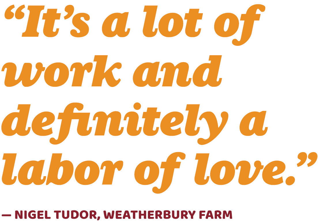 Feature quote - oats